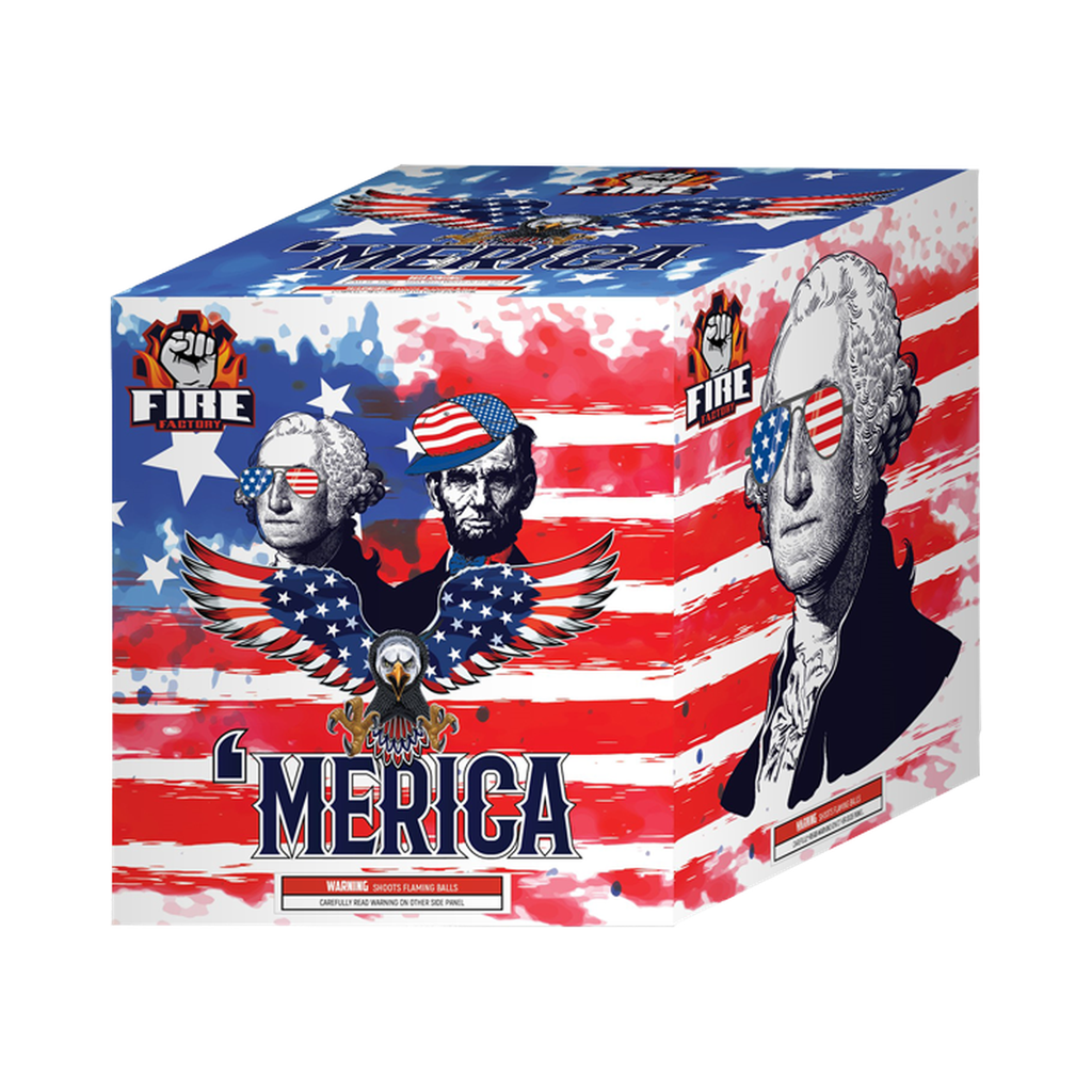 [223-2845] Merica, 10 Shots