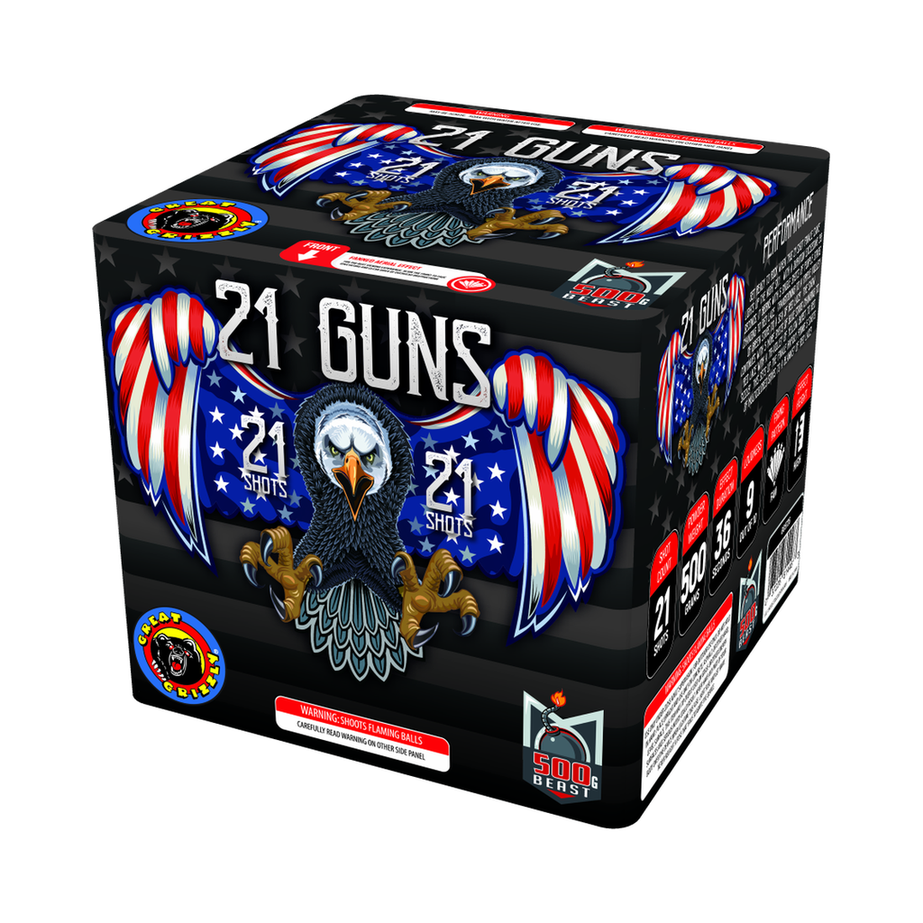 [223-2883] 21 Guns, 21 Shots