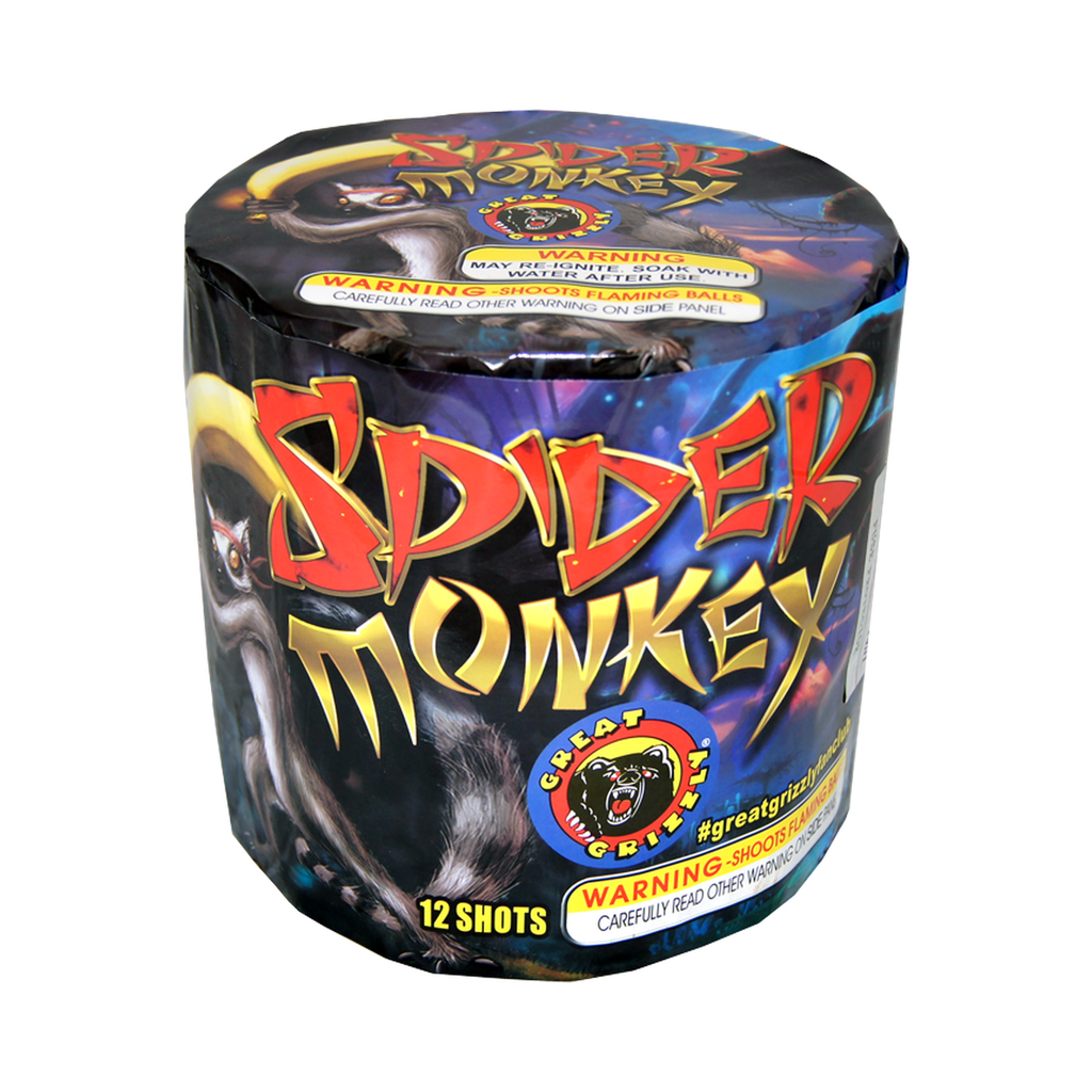 [222-2521] Spider Monkey, 12 Shots