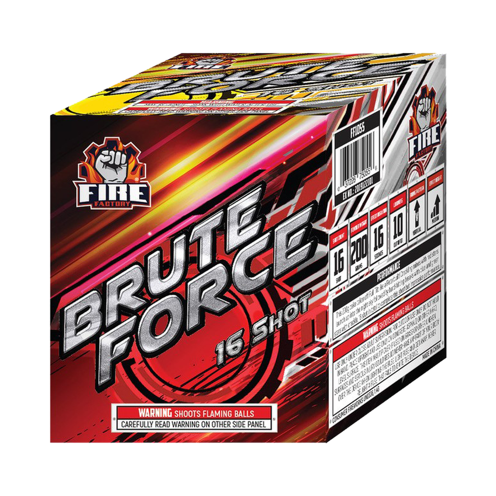 [221-2556] Brute Force, 16 Shots