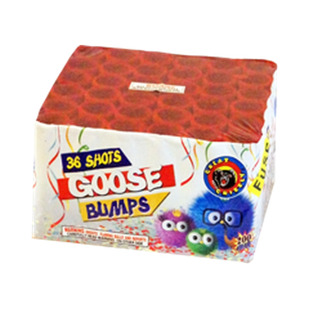 [221-0769] Goose Bumps, 36 Shots