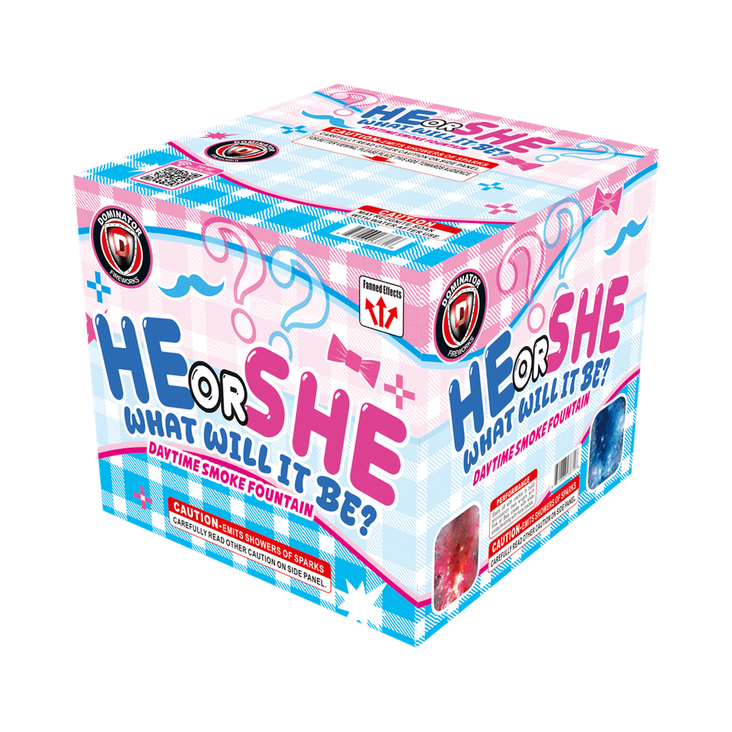 [121-2656] He/She What Will It Be (Blue)